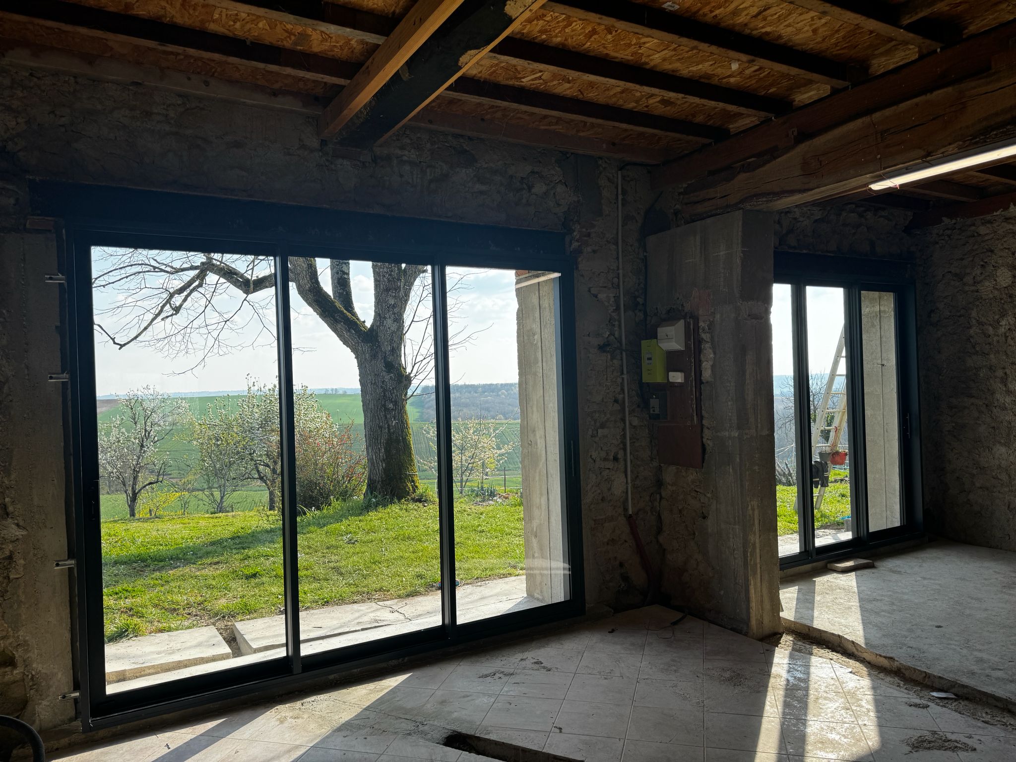 whatsapp image 2026 03 23 at 17.14.08